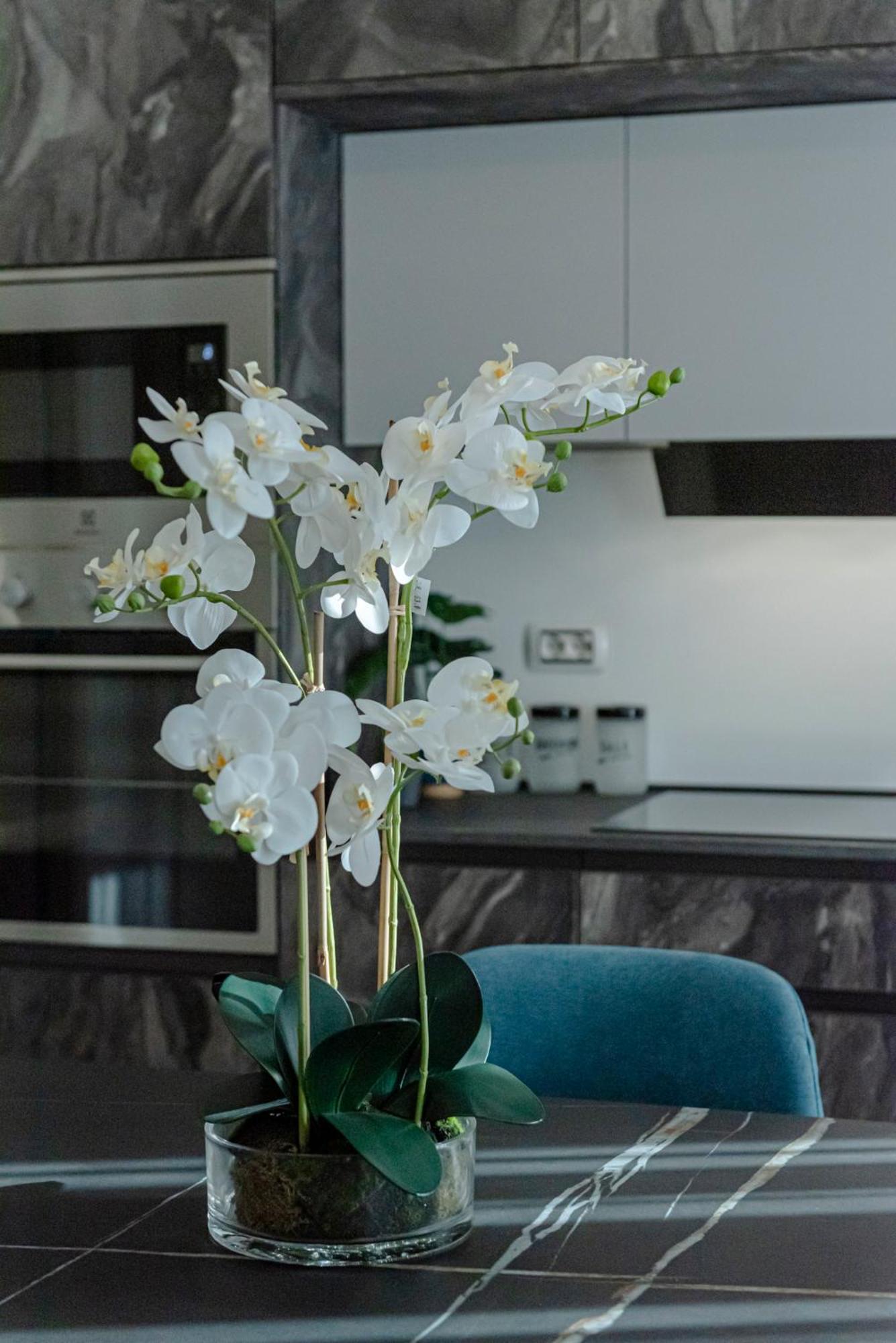 Bed & Breakfast Il Narciso Roma Esterno foto